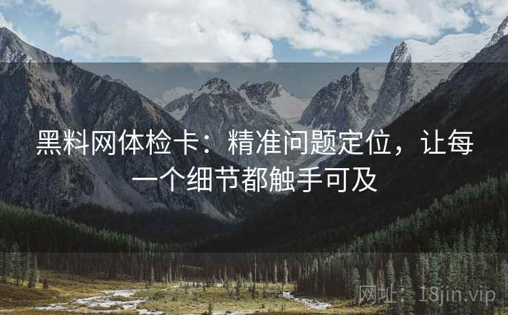 黑料网体检卡：精准问题定位，让每一个细节都触手可及