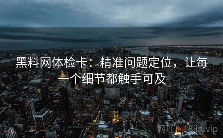 黑料网体检卡：精准问题定位，让每一个细节都触手可及