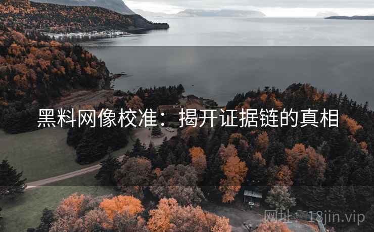 黑料网像校准：揭开证据链的真相