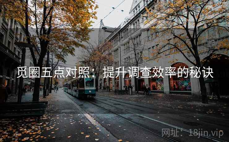 觅圈五点对照：提升调查效率的秘诀
