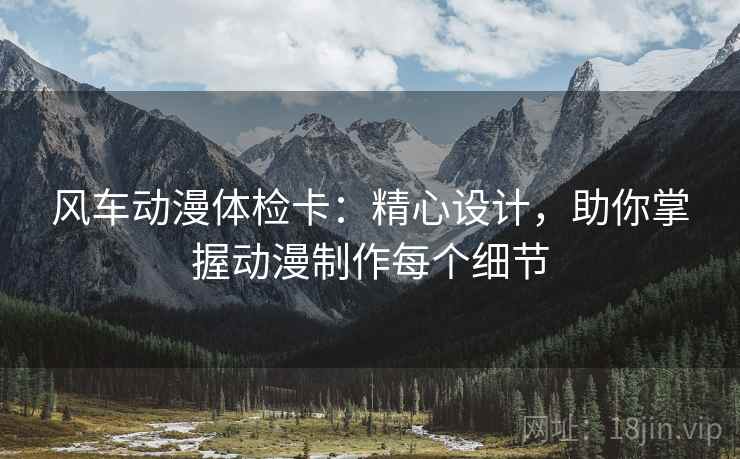 风车动漫体检卡：精心设计，助你掌握动漫制作每个细节  第2张